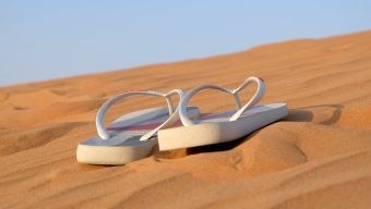 Pair of White Flip-flops on Focus Photo