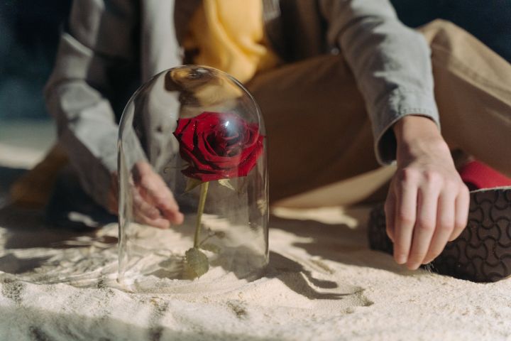Boy Sitting Beside Red Rose Under Glass Cylinder on the Sand